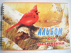 Альбом для малювання "Птахи", 30 аркушів