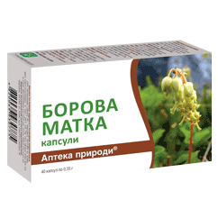 Борова матка (Дана Я,капс No40)