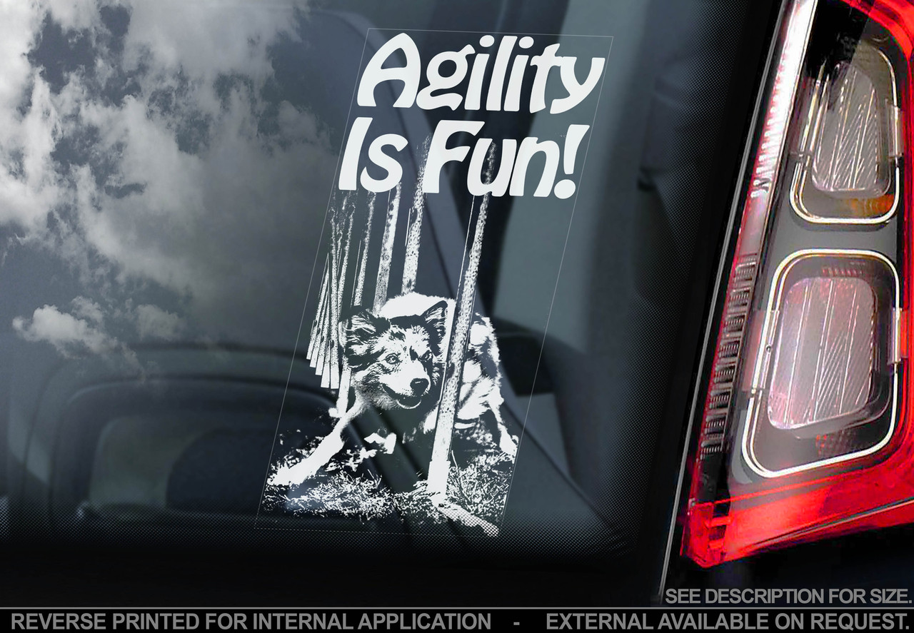 Agility is Fun стикер, фото 1