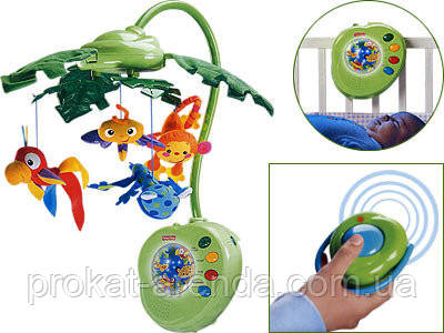 Fisher price musical jungle 2025