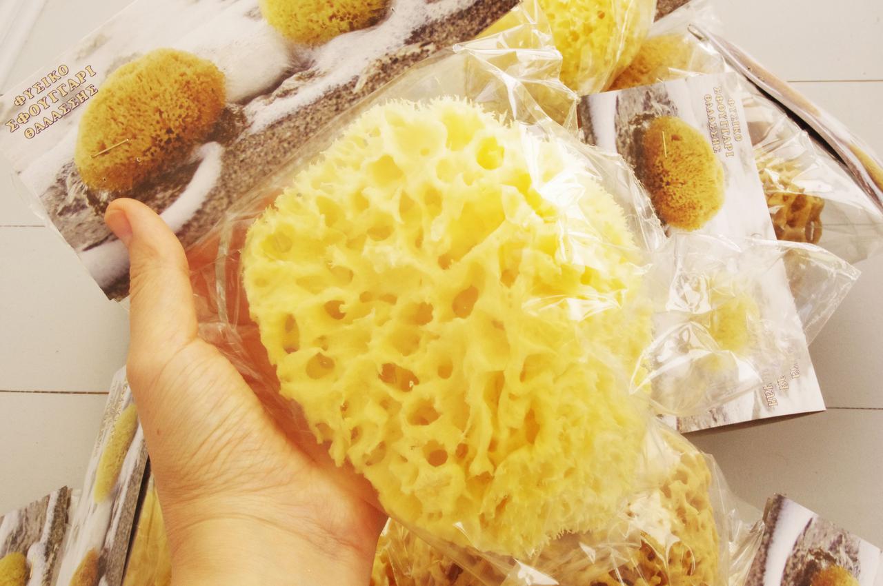 Морская губка Honeycomb для тела, шелковая, 15-16 см, Греция: продажа ...