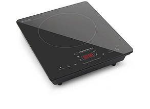 Індукційна плита Esperanza EKH009