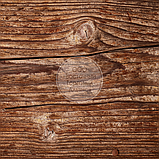 Фотофон для предметного знімання 60х60 см — FM-099, фото 7