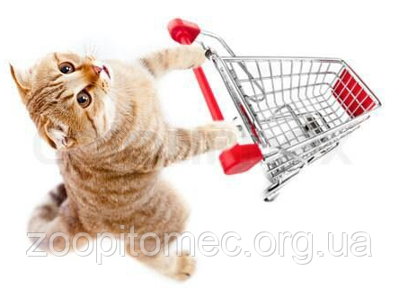 Товари для кішок ЗООПИТОМЕЦ Все для кішок інтернет-магазин