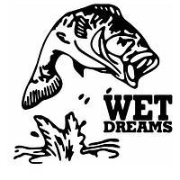Виниловая наклейка -wet dreams