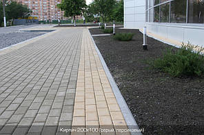 Цегла стандартна (сірий) 8см.