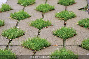 Решітка паркувальна (колір на сірому цементі) 8см.