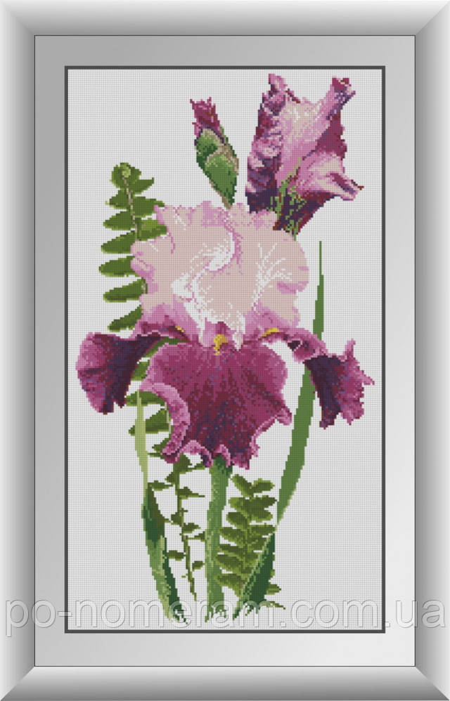 алмазна вишивка іриси купити набір алмазна живопис ірис