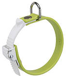 Нашийник для собак ERGOFLEX C15/22 GREEN COLLAR ferplast, фото 3