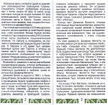 Таро Майстра, ANKH, фото 5