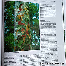 Велика книга деревних рослин для ландшафтного дизайну видавництва Bruns / Брунс, фото 4