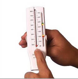 Пикфлоуметр PHILIPS RESPIRONICS Personal Best Универсальный 60-800 л ...