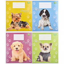 Зошит 18 аркушів лінія мікс