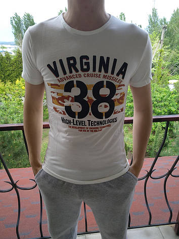 Футболка чоловіча VIRGINIA, фото 2