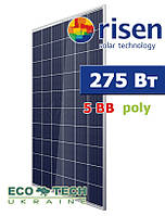 Risen сонячна батарея RSM60-6-275P 5BB полікристалічна