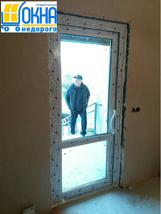 Металопластикові двері Бориспіль, фото 2