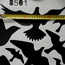 Вінілові наклейка на стіну, вікна, вітрини, шафа "чорні птахи 12шт" 1м11см*1метр (лист 60*35см), фото 2