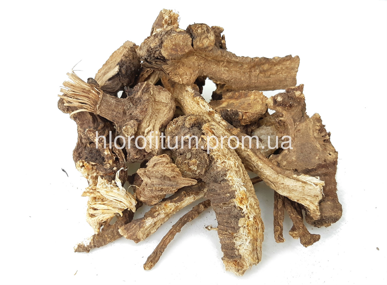 Любисток лікарський (Levisticum officinale) корінь 50 грамів