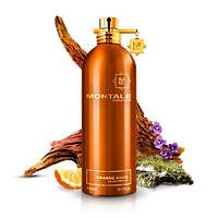 Парфюмированная вода унисекс Montale Orange Aoud 100ml(test)