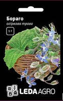 Насіння Бораго огіркової трави, 1 гр., ТМ "ЛедаАгро"