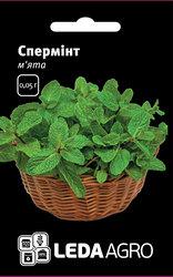 Насіння м'яти Спермінт, 0,05 гр., ТМ "ЛедаАгро"