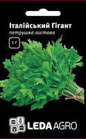 Насіння петрушки Італійський Гігант, 1 гр., листова, ТМ "ЛедаАгро"