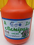 Обприскувач пневматичний ручний 2 літри ОП-301 (Леміра), фото 3