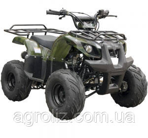 Квадроцикл Spark 110-3