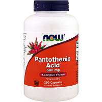 Вітамін В5 пантотенова кислота Now Foods Pantothenic Acid (Vitamin B-5) 500 мг, 250 капсул