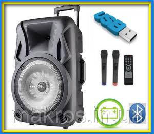 Акумуляторна акустика USBFM 1010BT, фото 1