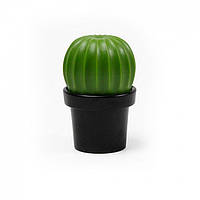 Млин для солі або перцю Tasty Cactus Qualy (чорна-зелена)