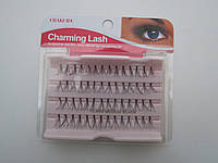 Ресницы Charming Lash пучковые, средние (medium)