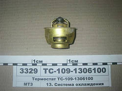 Термостат ТС-109-1306010 (пр.о ММЗ)