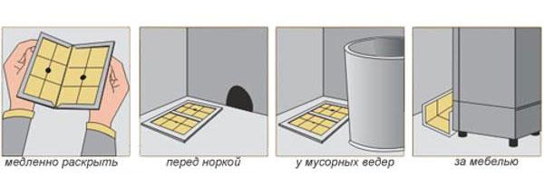 Клейова пастка для мишей і гризунів Catch Expert