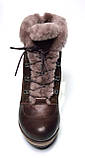 Зимові жіночі черевики "Pelma". На танкетці. Коричневі. Туреччина, фото 5