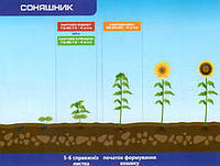 Добриво Партнер інструкція та дози застосування на соняшник