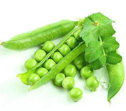 Насіння гороху