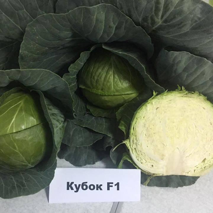 Насіння капусти б/к Кубок F1 (2500 сем.)