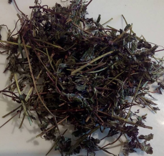 Будра (трава), 100г.