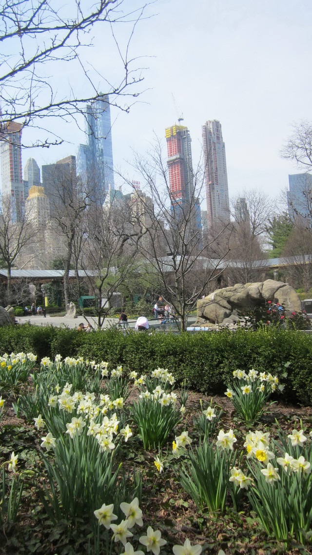 Розділ Літні сарафани - фото teens.ua - Нью-Йорк,в Центральному парку цвітуть іриси