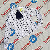 Оптом шкільна дитяча блузка для дівчаток у великий горошок Catherine