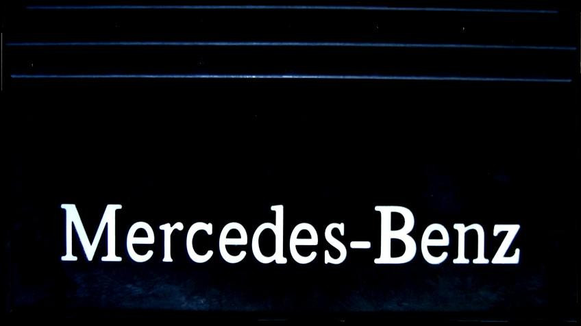 Бризковики задні для вантажного автомобіля MERCEDES