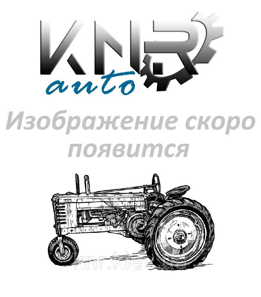 Голка підшипника 3*19,8 DongFeng 240/244