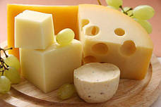 Сир і молочні продукти