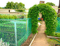 Паркани садові, сітки від птахів, для огорожі домашньої птиці.