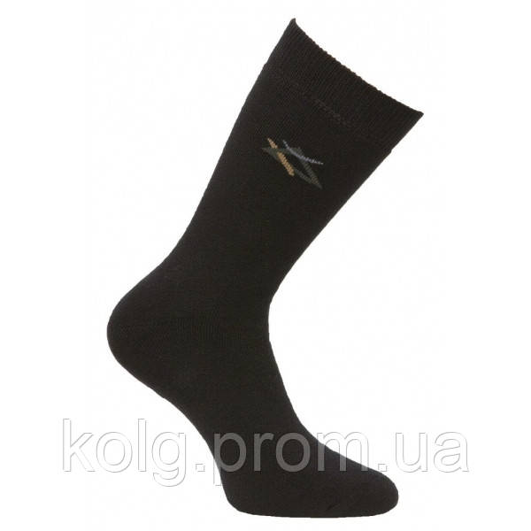 Чоловічі шкарпетки, махрові арт.6060