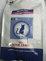 Royal Canin Young Male 1,5 кг