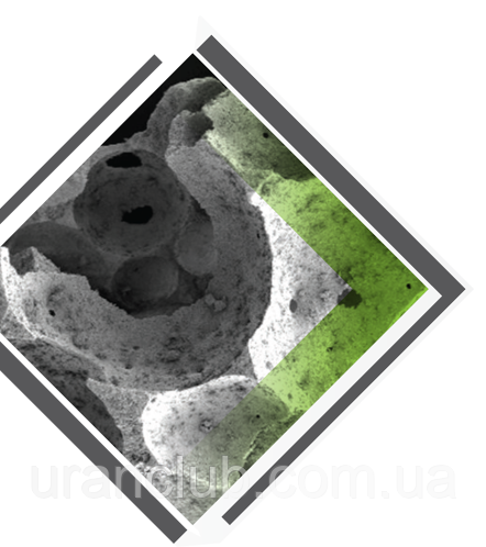 Синтетичний замінник кісткового трансплантата Bio3 Synthetics BIO3 Beta Bone