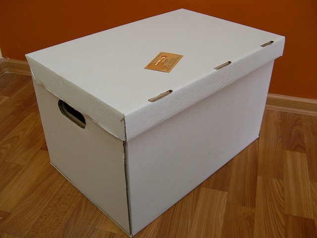 Архівний короб 480х325х300, світлий