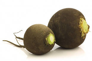 Насіння редьки